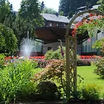 Schwarzwaldtanne Schönwalde