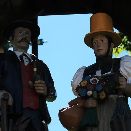 Schwarzwaldtanne Schönwalde