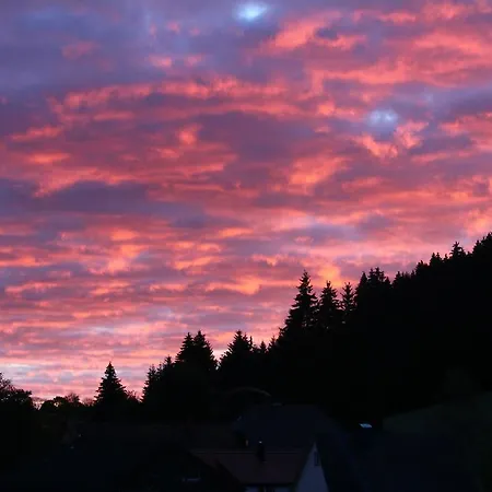 Schwarzwaldtanne ゲストハウス 3*