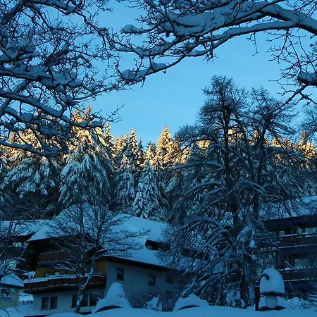 Schwarzwaldtanne * Schönwalde