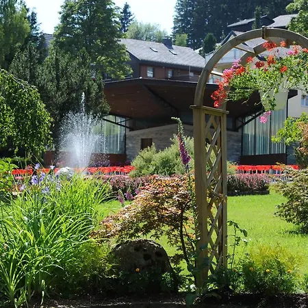 Schwarzwaldtanne Schönwalde