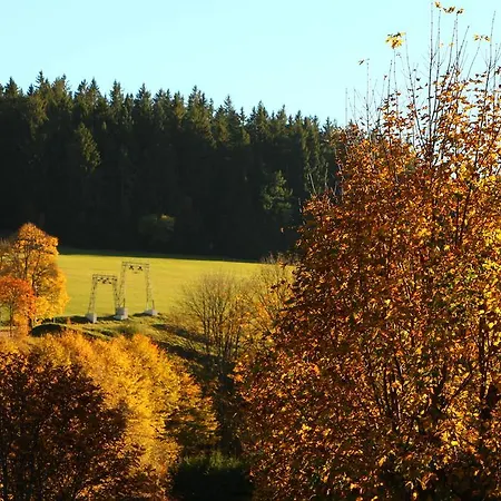 Schwarzwaldtanne Pensjonat