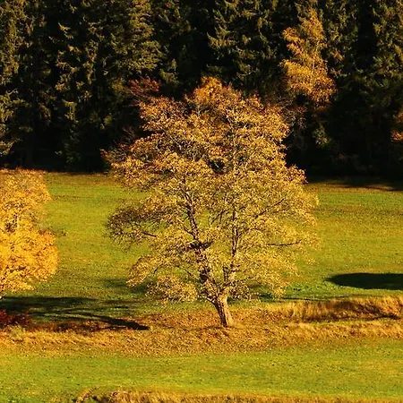 ゲストハウス Schwarzwaldtanne 3*