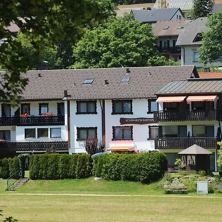Schwarzwaldtanne